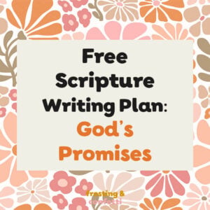 Promises of God