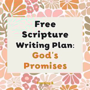 Promises of God