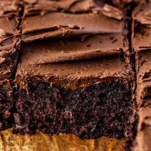 Sourdough Discard Chocolate Cake Feature