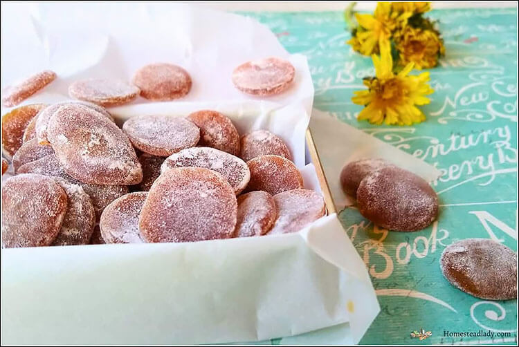Homemade Dandelion Candy