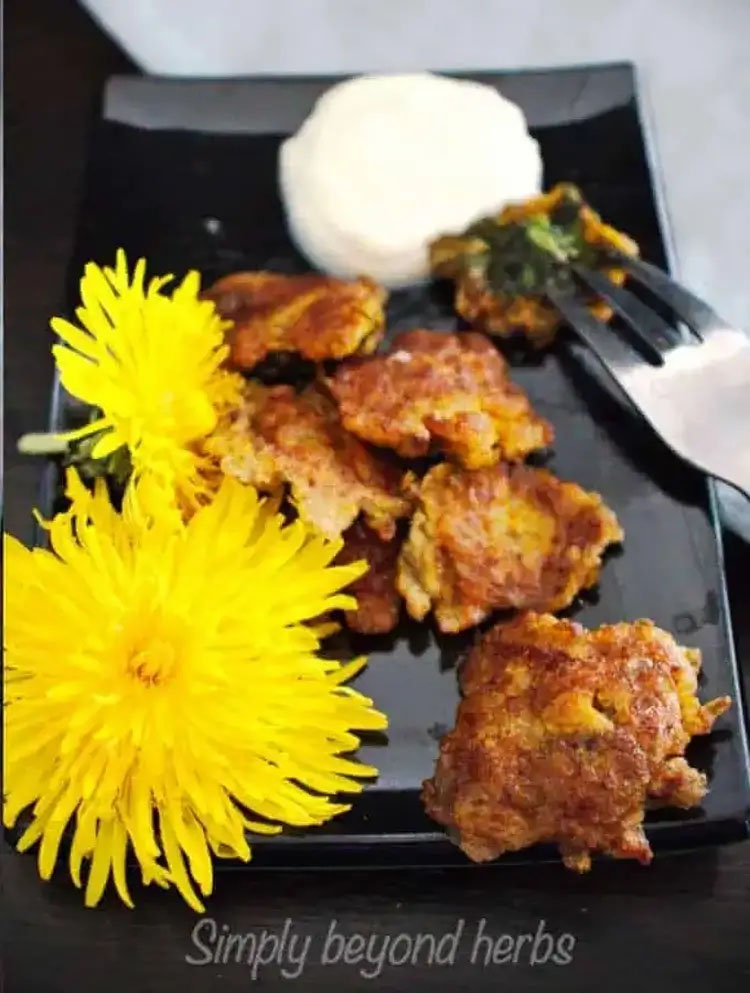 Fried Dandelion Blossoms