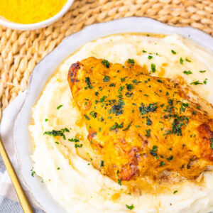 Sour Cream and Onion Chicken