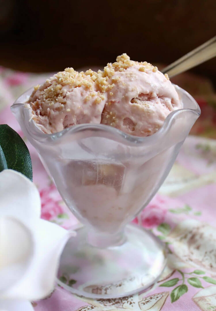 Rhubarb Ice Cream