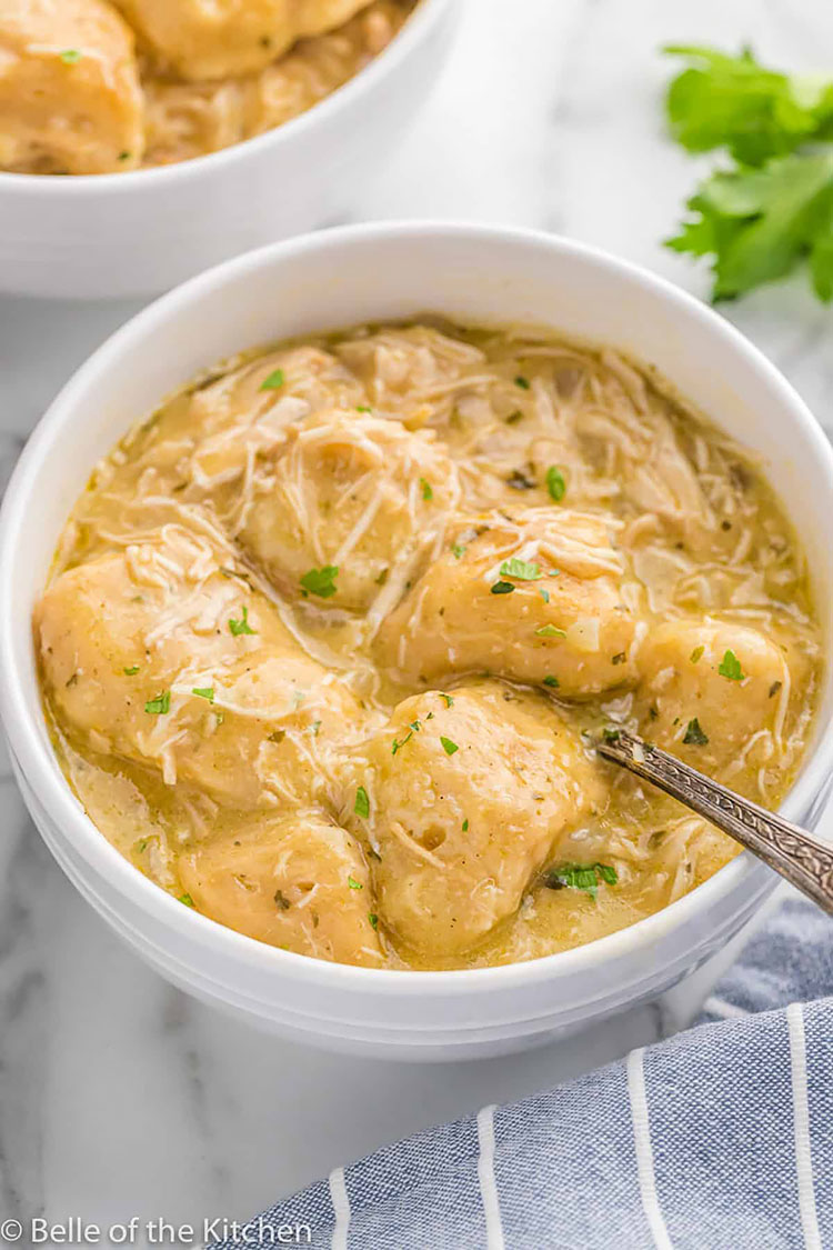 Slow Cooker Chicken and Dumplings