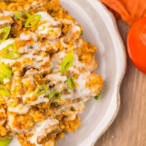 Slow Cooker Queso Steak and Rice Feature