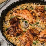 creamy orzo chicken feature