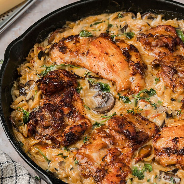 creamy orzo chicken feature