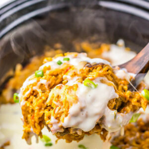 Slow-Cooker-Queso-Steak-and-Rice-3