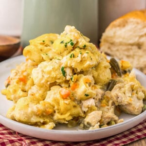 slow cooker chicken and dumplings