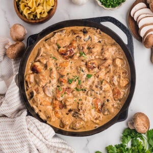 Chicken Stroganoff Feature